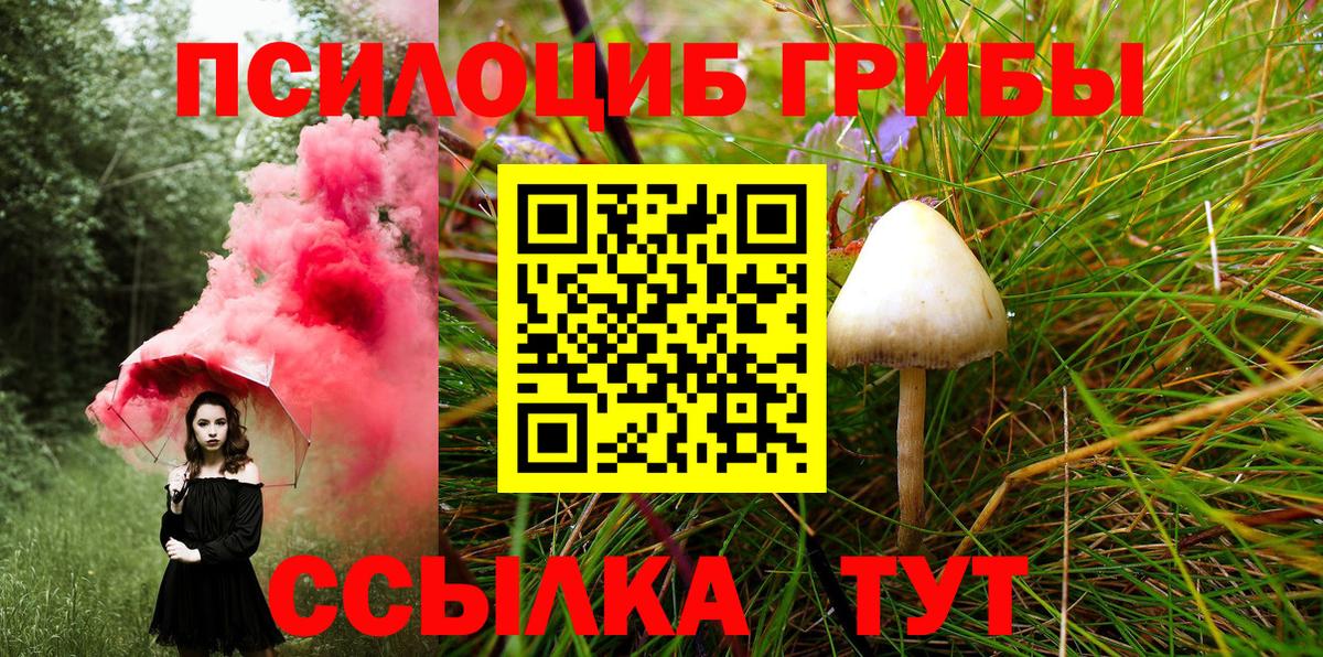 Псилоцибиновые грибы ЛСД Бугуруслан